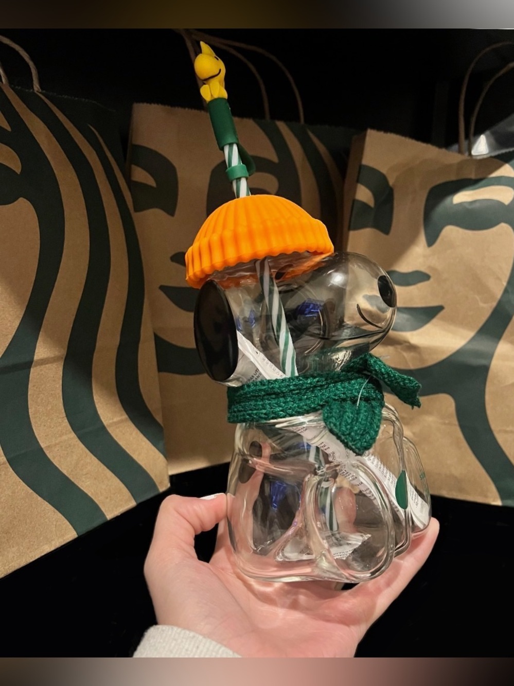 Rare Starbucks Snoopy & Woodstock Glass Tumbler Cup w/ Beanie Cap & Green Scarf